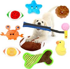 Fun Pet Toys